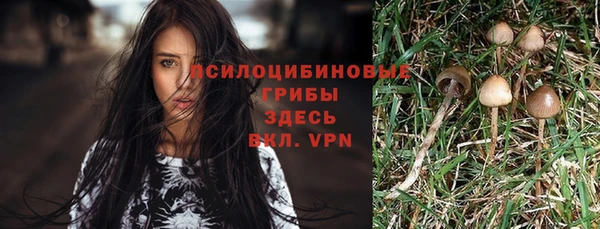 jwh Нея