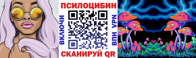 Псилоцибиновые грибы Psilocybine cubensis  сколько стоит  Нариманов 